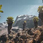Kilimanjaro climb, Machame Route (7-day) - What Reviewers Say About the Experience