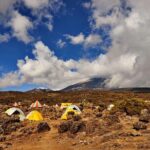 Kilimanjaro climb, Rongai Route (6-day) - What You Can Expect on the Kilimanjaro Rongai Route