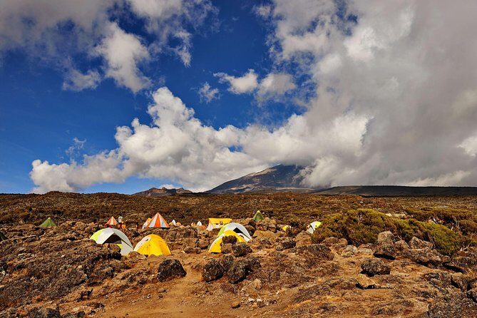 Kilimanjaro climb, Rongai Route (6-day) - What You Can Expect on the Kilimanjaro Rongai Route