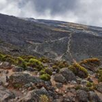 Kilimanjaro climb, Rongai Route (7-day) - The Itinerary in Detail