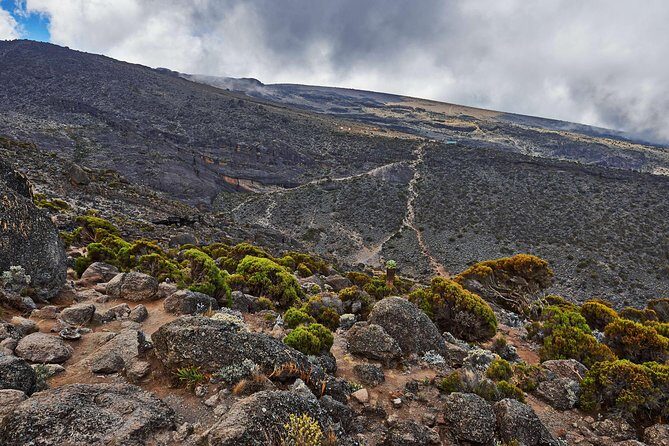Kilimanjaro climb, Rongai Route (7-day) - The Itinerary in Detail