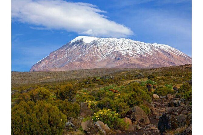 Kilimanjaro day trip starting from Arusha - Why Choose This Kilimanjaro Day Trip?