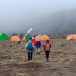 Kilimanjaro Experience 7 Days Lemosho route - Possible Considerations