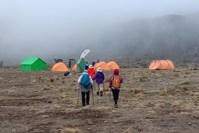 Kilimanjaro Experience 7 Days Lemosho route - Possible Considerations
