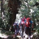 Kilimanjaro Marangu Route Day Tour - A Closer Look at the Kilimanjaro Marangu Route Day Tour