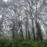 Kilimanjaro Northern Circuit Route 8 Days - Detailed Breakdown of the 8-Day Itinerary