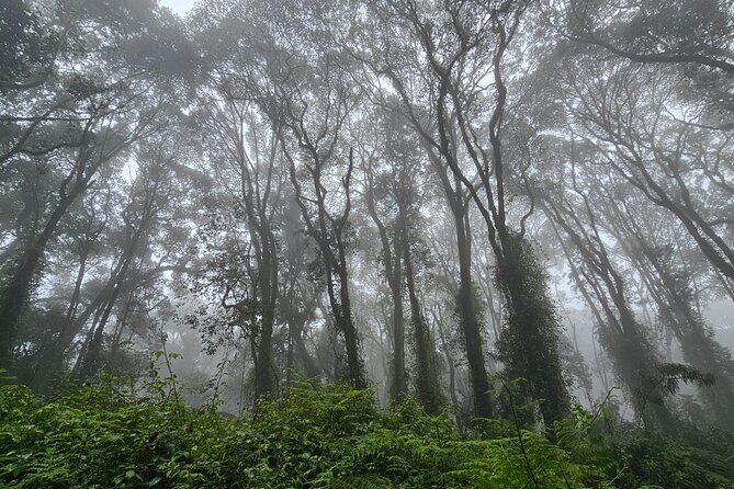 Kilimanjaro Northern Circuit Route 8 Days - Detailed Breakdown of the 8-Day Itinerary