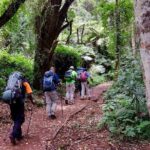 Kilimanjaro Private 2 Days Hiking Tour - What to Keep in Mind