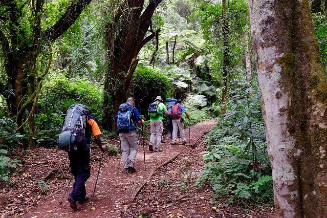 Kilimanjaro Private 2 Days Hiking Tour - What to Keep in Mind