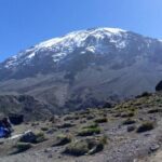 Kilimanjaro Rongai Route 5 Days Trekking - FAQs