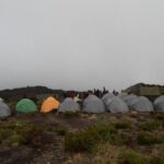 Kilimanjaro Rongai Route 7 Days - Authentic Experiences From Past Travelers