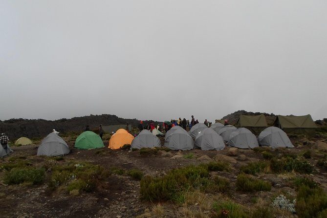 Kilimanjaro Rongai Route 7 Days - Authentic Experiences From Past Travelers