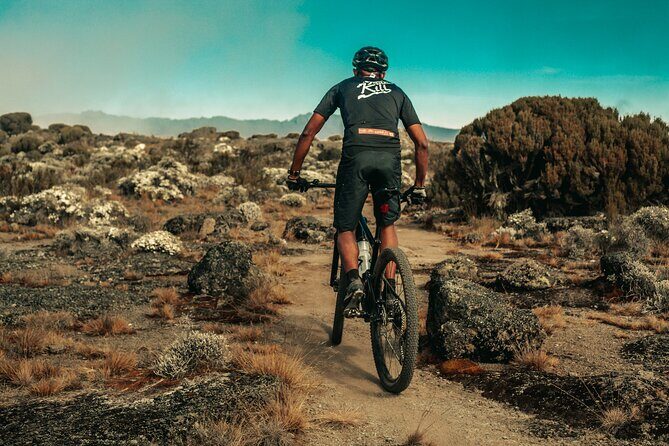 Kilimanjaro Shira Plateau E-Bike Day Trip - Detailed Breakdown of the Itinerary