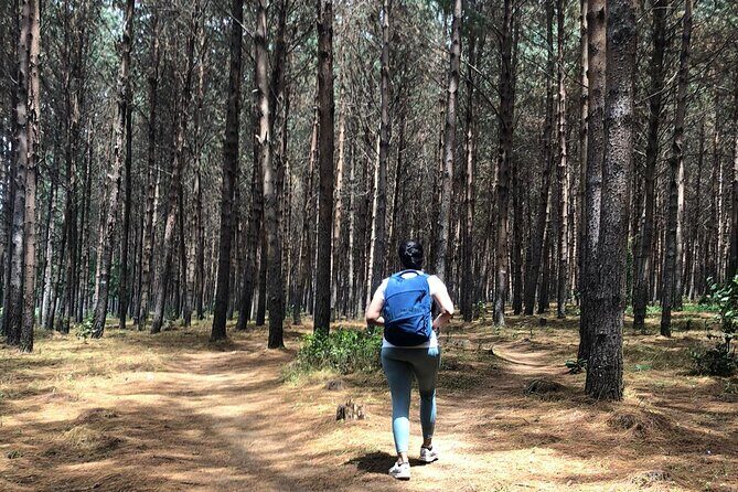 Kilimanjaro Wanderlust Day Hike - Authenticity and Guide-Driven Experience