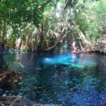 Kilimanjaro Waterfalls Hike & Moshi Hot Springs Day Trip Tour - Who Will Love This Experience?