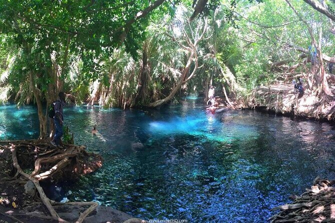 Kilimanjaro Waterfalls Hike & Moshi Hot Springs Day Trip Tour - Who Will Love This Experience?