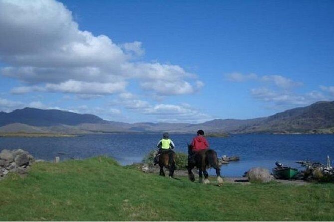 Killarney National Park Horseback Ride. Co Kerry. Guided. 2 hours. - An In-Depth Look at the Horseback Ride Experience