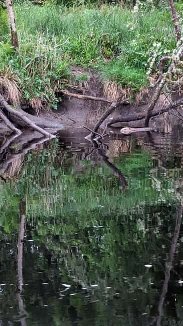 Killin: Loch Tay Beaver Canoe Tour - Practical Details and Value