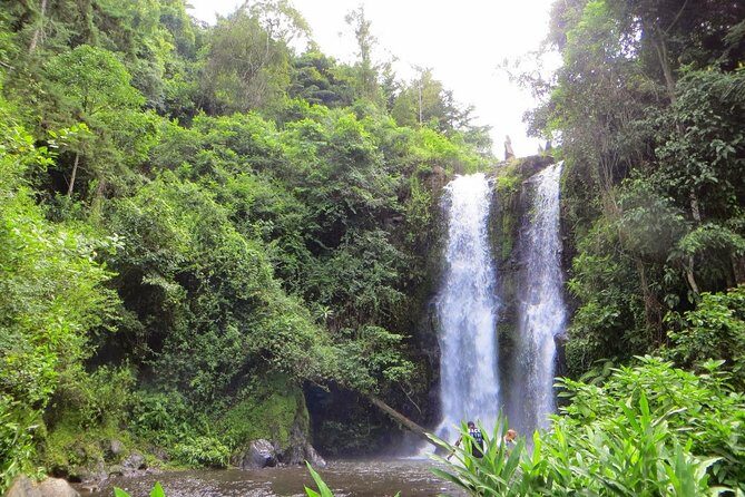 Kinukamori Waterfalls, Ancient Caves & Cultural Day Tour - Who Should Consider This Tour?
