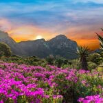 Kirstenbosch Botanical Gardens and Constantia Wine Tasting Tour. - Is It Worth the Price?