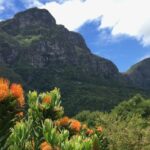 Kirstenbosch National Botanical Gardens: A Self-guided Audio Tour - Who Would Love This Experience