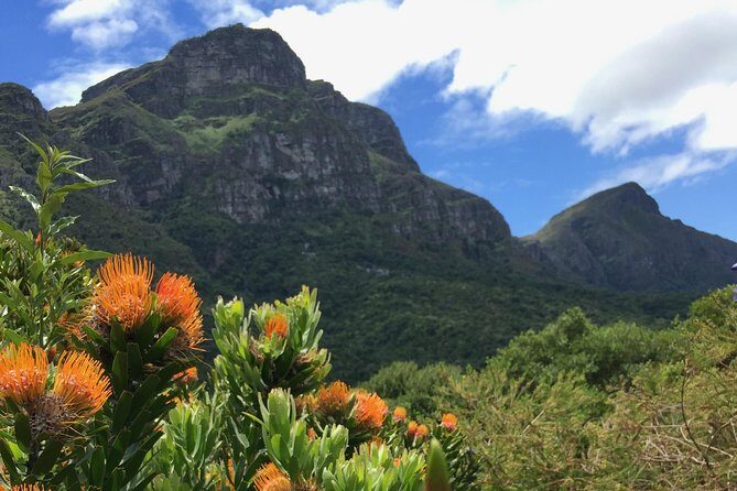 Kirstenbosch National Botanical Gardens: A Self-guided Audio Tour - Who Would Love This Experience