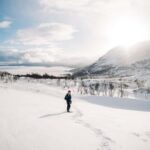 Kiruna: Daytime Snowshoe Hike - The Experience: What to Expect on the Snowshoe Hike