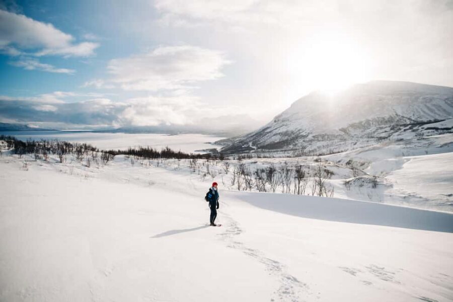 Kiruna: Daytime Snowshoe Hike - The Experience: What to Expect on the Snowshoe Hike
