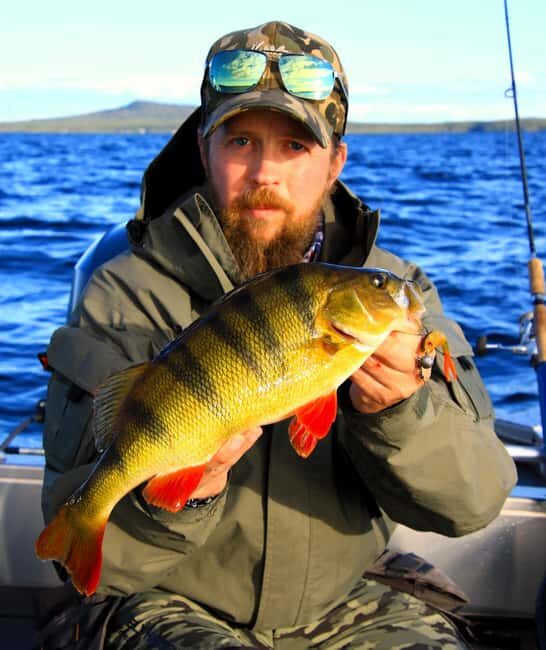 Kiruna: Lapland Fishing Tour with Guide, Gear and Lunch - The Value of the Experience