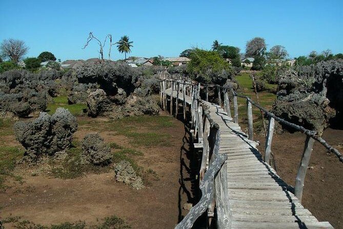 Kisite Marine Park Private Boat Snorkeling with breakfast & Lunch - The Itinerary in Detail