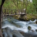 Konavle Private Countryside Experience with Wine & Spirits - Tasting Local Wine and Rakija