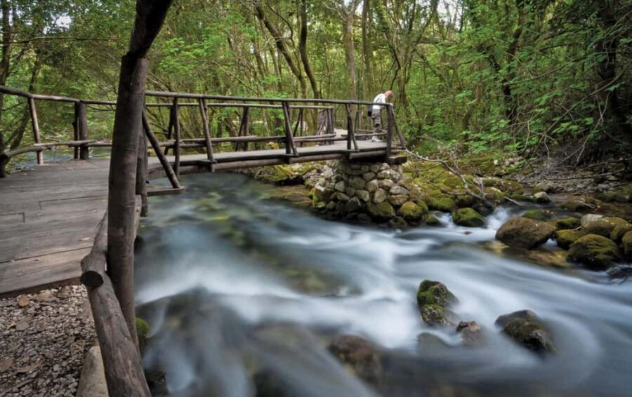 Konavle Private Countryside Experience with Wine & Spirits - Tasting Local Wine and Rakija