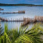 Kosi Bay Mouth Experience - Kayaking, Snorkeling, Fish Trap Tour and Fish braai - Practical Details and Considerations