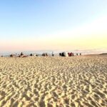 Kragga Kamma Game Drive and Scenic Coastal Tour in Port Elizabeth - FAQ