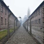 Krakow: Auschwitz-Birkenau Guided Tour or Self-Guided Tour - Practical Tips for Visiting