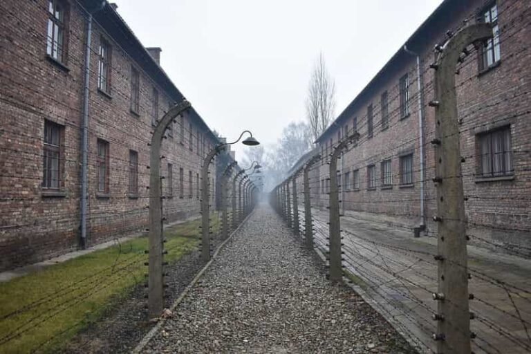 Krakow: Auschwitz-Birkenau Guided Tour or Self-Guided Tour - Practical Tips for Visiting