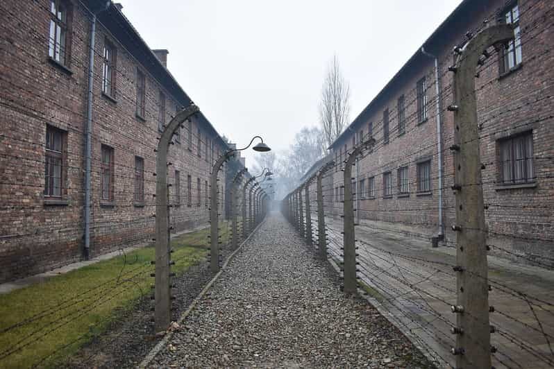 Krakow: Auschwitz-Birkenau Guided Tour or Self-Guided Tour - Practical Tips for Visiting