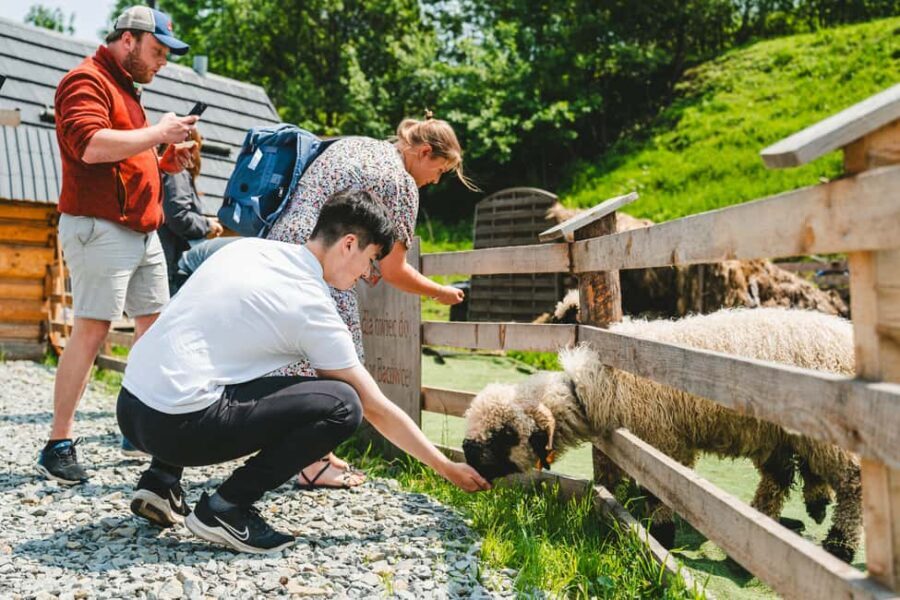 Krakow: Zakopane Day Trip with Funicular & Thermal Pools - Practical Details and Tips