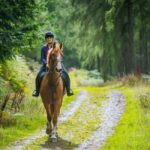 Krakow: Zakopane Horseback Ride & Cheese Tasting & Cable Car - The Itinerary Breakdown