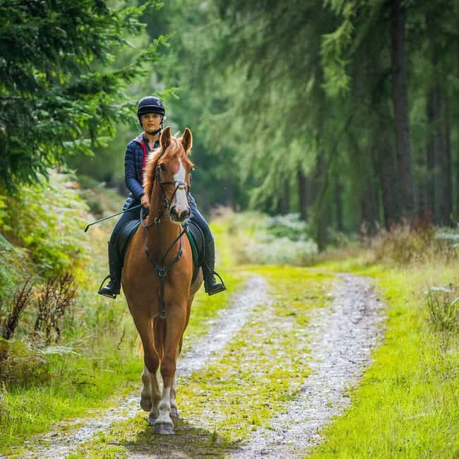 Krakow: Zakopane Horseback Ride & Cheese Tasting & Cable Car - The Itinerary Breakdown