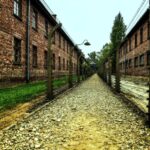 Krakow:Guided Auschwitz-Birkenau Tour - Transport by Minivan - Exploring Auschwitz I and Birkenau