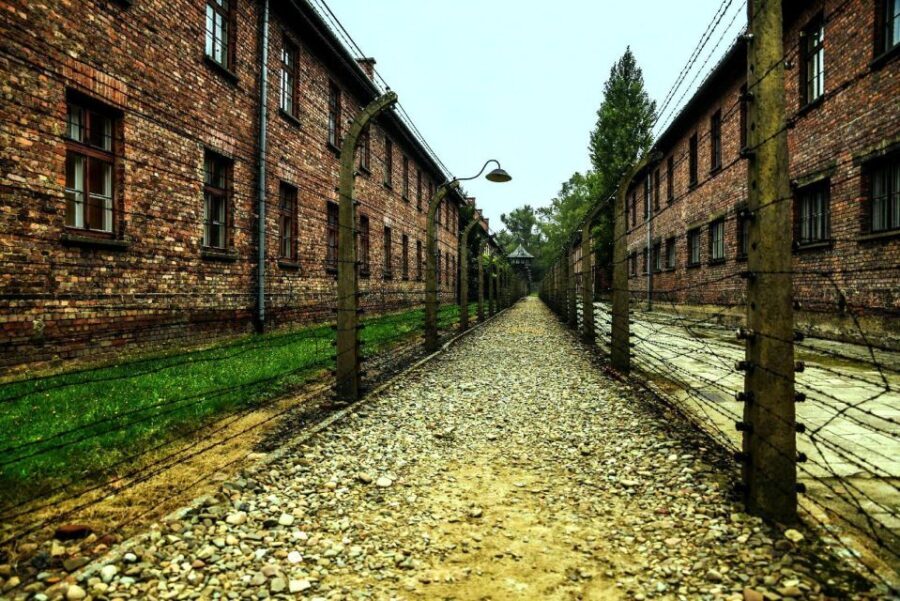 Krakow:Guided Auschwitz-Birkenau Tour - Transport by Minivan - Exploring Auschwitz I and Birkenau