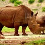 Kruger National Game Park three day PRIVATE Tour - Final Thoughts