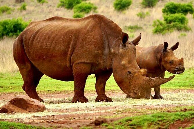 Kruger National Game Park three day PRIVATE Tour - Final Thoughts