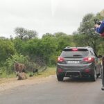 Kruger National Park 2 Days 1 Night Magical Safari from Johannesburg Private - The Value of This Tour