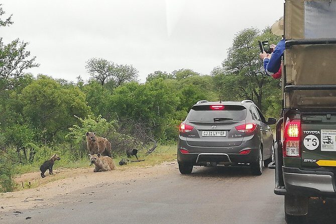 Kruger National Park 2 Days 1 Night Magical Safari from Johannesburg Private - The Value of This Tour