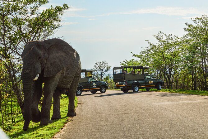 Kruger National Park Full Day Private safari - Highlights of the Experience