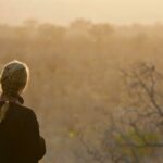 Kruger National Park Guided Day Tour including Hotel Pick-Up and Drop-Off - Areas for Consideration