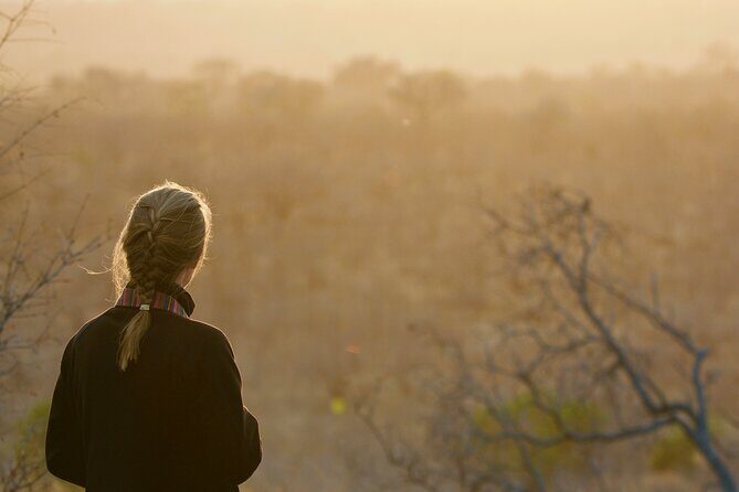 Kruger National Park Guided Day Tour including Hotel Pick-Up and Drop-Off - Areas for Consideration