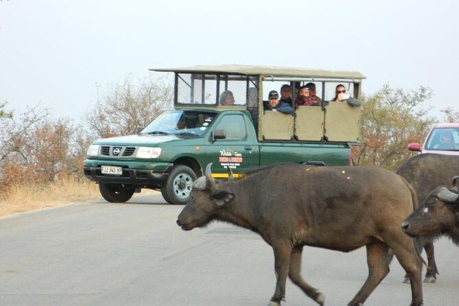 Kruger Park Safari - Half Day Game Drive from Hazyview - What Does the Price Cover? Is It Worth It?